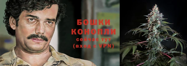 ешки Аркадак