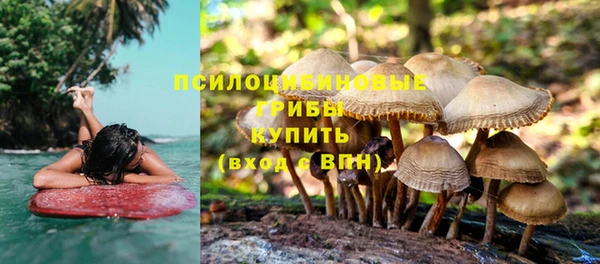 эйфоретик Армянск