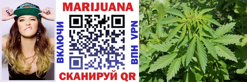 как найти закладки  Пущино  Бошки марихуана White Widow 